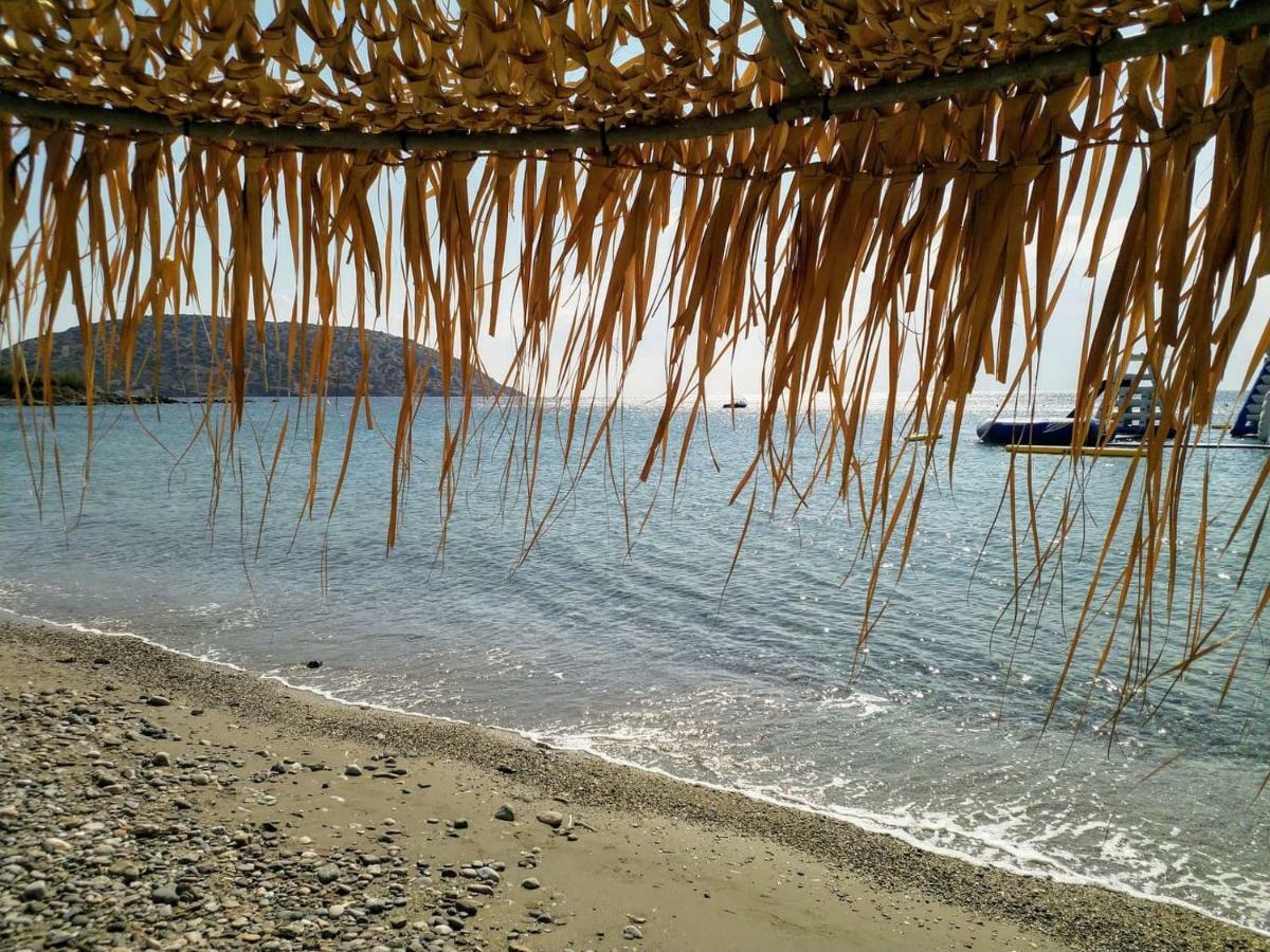 New Seafront Studio Guest House Anavyssos Exterior photo
