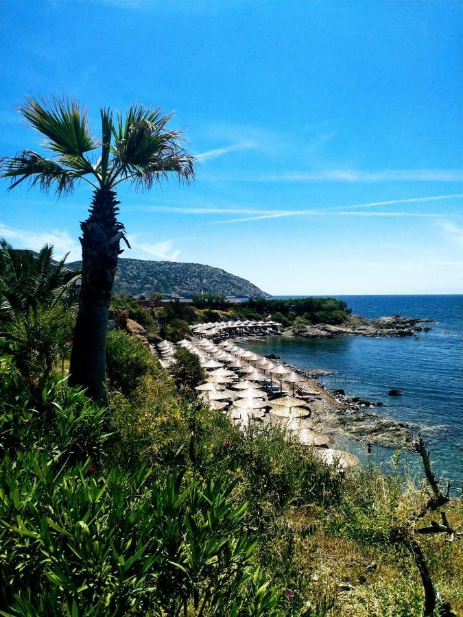 New Seafront Studio Guest House Anavyssos Exterior photo